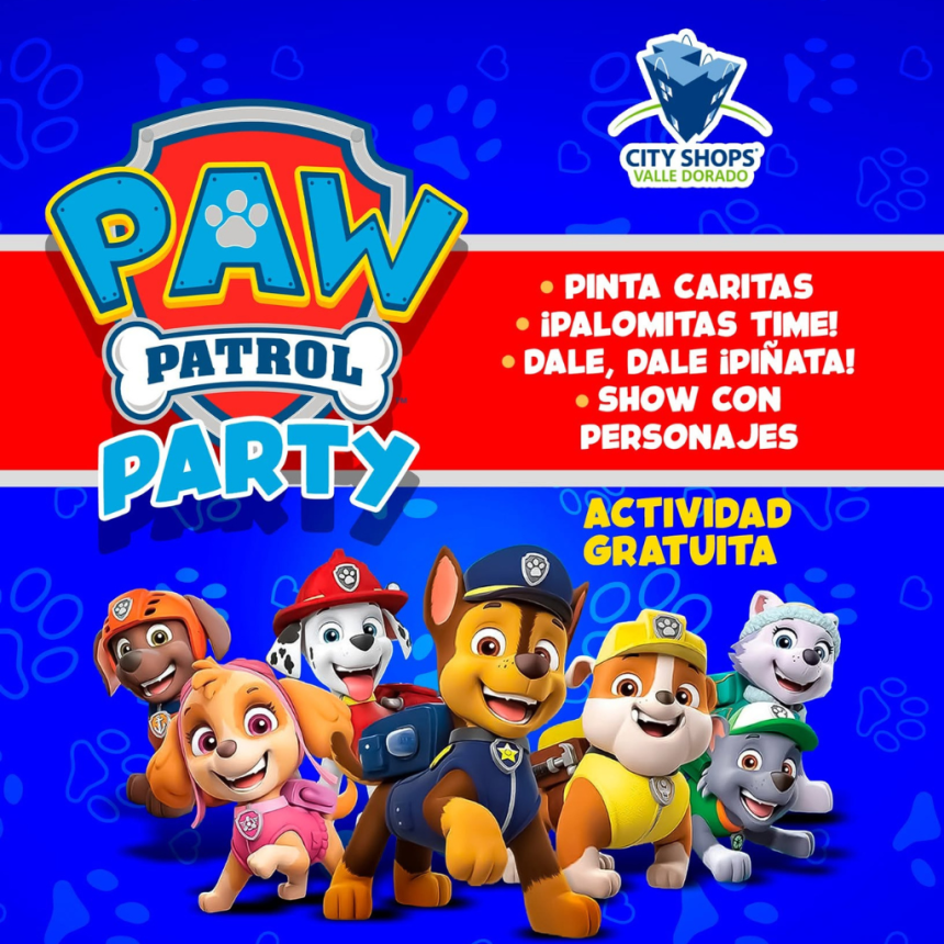 PAW PATROL PARTY